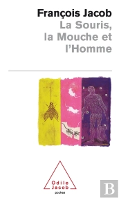 La Souris, La Mouche Et L'Homme