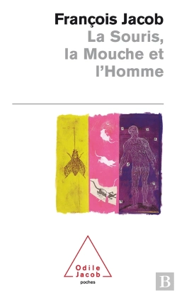 Bertrand.pt - La Souris, La Mouche Et L'Homme