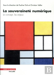 La Souveraineté Numérique ; Le Concept, Les Enjeux