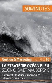 La Stratégie Océan Bleu Selon C. Kim Et Mauborgne : Comment Identifier Les Nouveaux Relais De Croissance ?