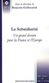 La Subsidiarité : Un Grand Dessein Pour La France Et L'Europe
