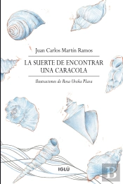 La Suerte De Encontrar Una Caracola