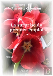 La Surprise Du Premier Emploi