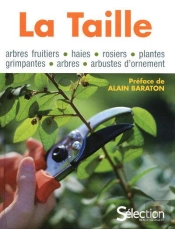 La Taille