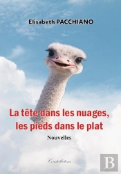 La Tête Dans Les Nuages, Les Pieds Dans Le Plat