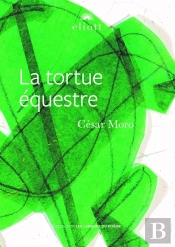 La Tortue Équestre