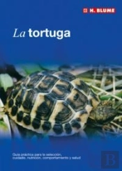 La Tortuga