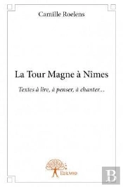 La Tour Magne A Nimes