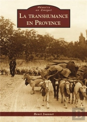 La Transhumance En Provence