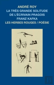 La Tres Grande Solitude De L'Ecrivain Pragois Franz Kafka