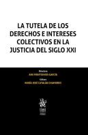 La Tutela De Los Derechos E Intereses Colectivos En La Justicia Del Siglo Xxi