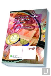 La Tutela Del Crédito En El Proceso Monitorio