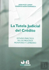 La Tutela Judicial Del Crédito.