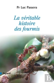 La Véritable Histoire Des Fourmis
