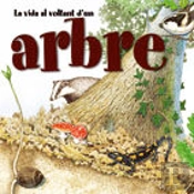 La Vida Al Voltant D'Un Arbre