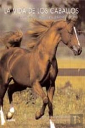 La Vida De Los Caballos