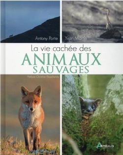 Bertrand.pt - La Vie Cachée Des Animaux Sauvages
