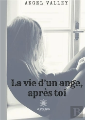 La Vie D Un Ange Apres Toi