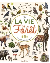 La Vie De La Forêt : 70 Espèces À Découvrir !
