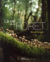 La Vie De La Forêt