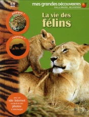 La Vie Des Félins