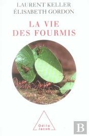 La Vie Des Fourmis
