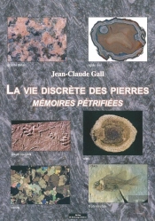 La Vie Discrète Des Pierres ; Mémoires Pétrifiées