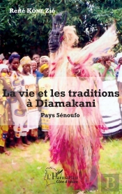 La Vie Et Les Traditions À Diamakani ; Pays Sénoufo