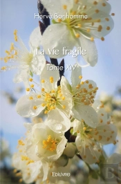 La Vie Fragile - Tome 14