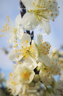 Bertrand.pt - La Vie Fragile - Tome 14