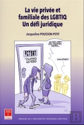 La Vie Privée Et Familiale Des Lgbtiq : Un Défi Juridique