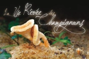 La Vie Rêvée Des Champignons