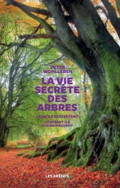 La Vie Secrète Des Arbres