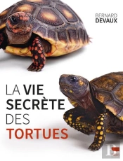 La Vie Secrète Des Tortues