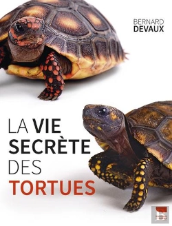 Bertrand.pt - La Vie Secrète Des Tortues