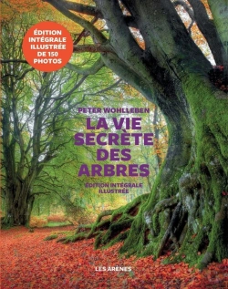 Bertrand.pt - La Vie Secrètes Des Arbres ; Édition Illustrée