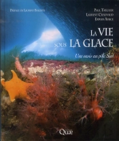 La Vie Sous La Glace ; Une Oasis Au Pôle Sud