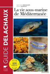 La Vie Sous-Marine De Méditerranée