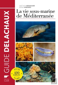 Bertrand.pt - La Vie Sous-Marine De Méditerranée