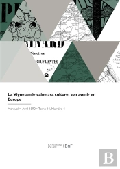 La Vigne Américaine