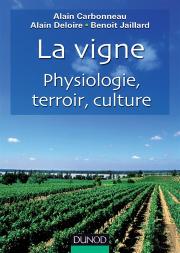 La Vigne ; Physiologie, Terroir, Culture