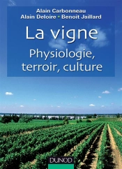 La Vigne ; Physiologie, Terroir, Culture