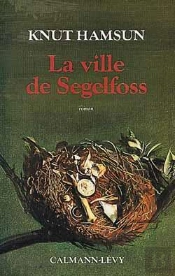 La Ville De Segelfoss