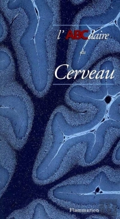 L'Abcdaire Du Cerveau