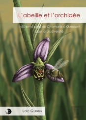 L'Abeille Et L'Orchidée