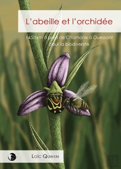 Bertrand.pt - L'Abeille Et L'Orchidée