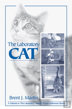 Bertrand.pt - Laboratory Cat