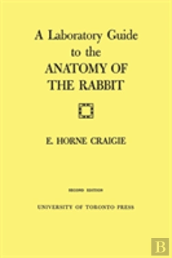 Bertrand.pt - Laboratory Guide To The Anatomy Of The Rabbit