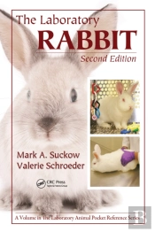 Laboratory Rabbit