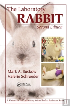 Bertrand.pt - Laboratory Rabbit